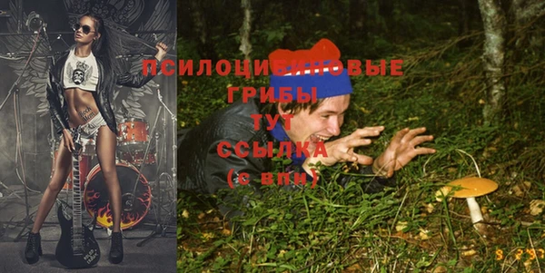 кристаллы Алексин